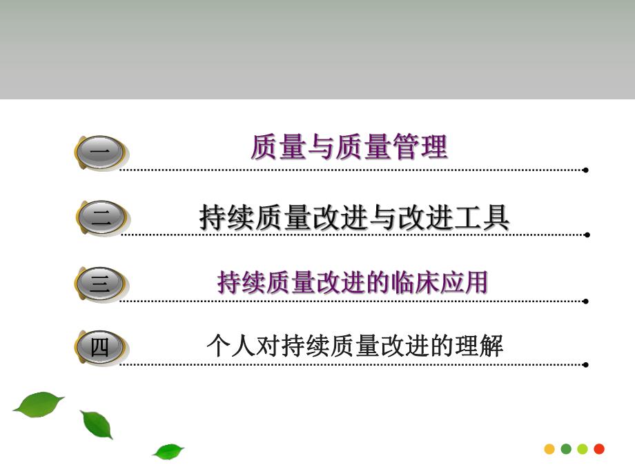 持续质量改进与护理管理.ppt_第2页