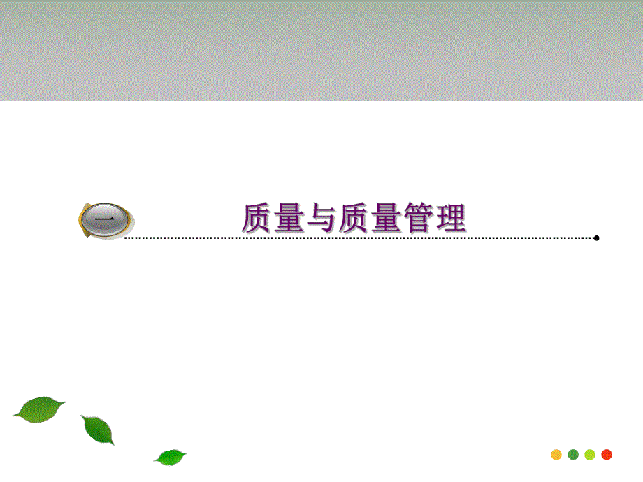 持续质量改进与护理管理.ppt_第3页