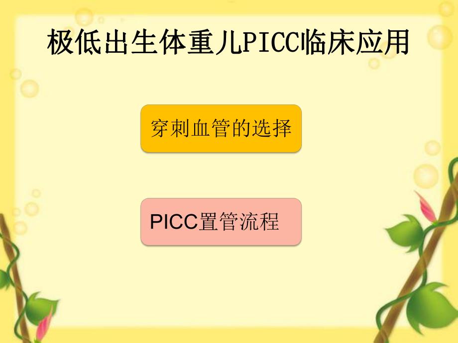 极低出生体重儿PICC临床应用.ppt_第2页