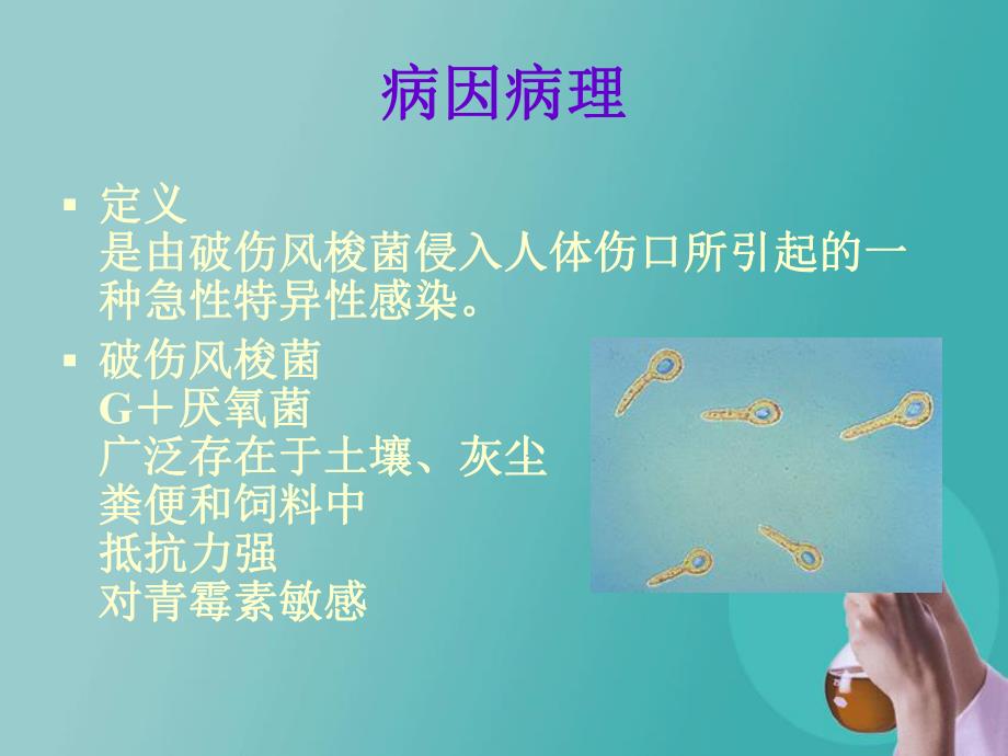 破伤风病人的护理.ppt_第2页