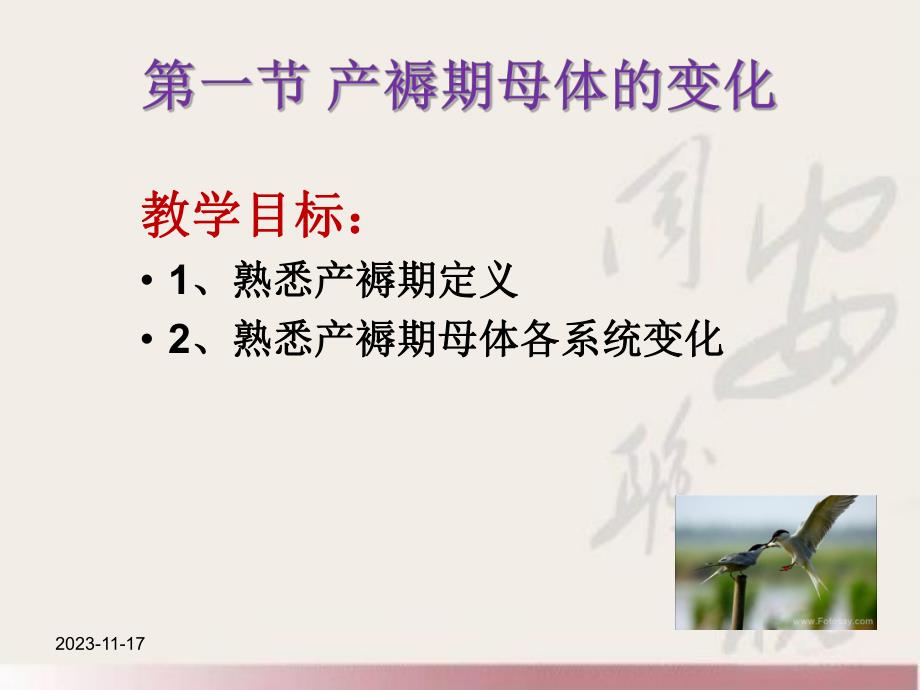 正常产褥期及护理.ppt_第3页