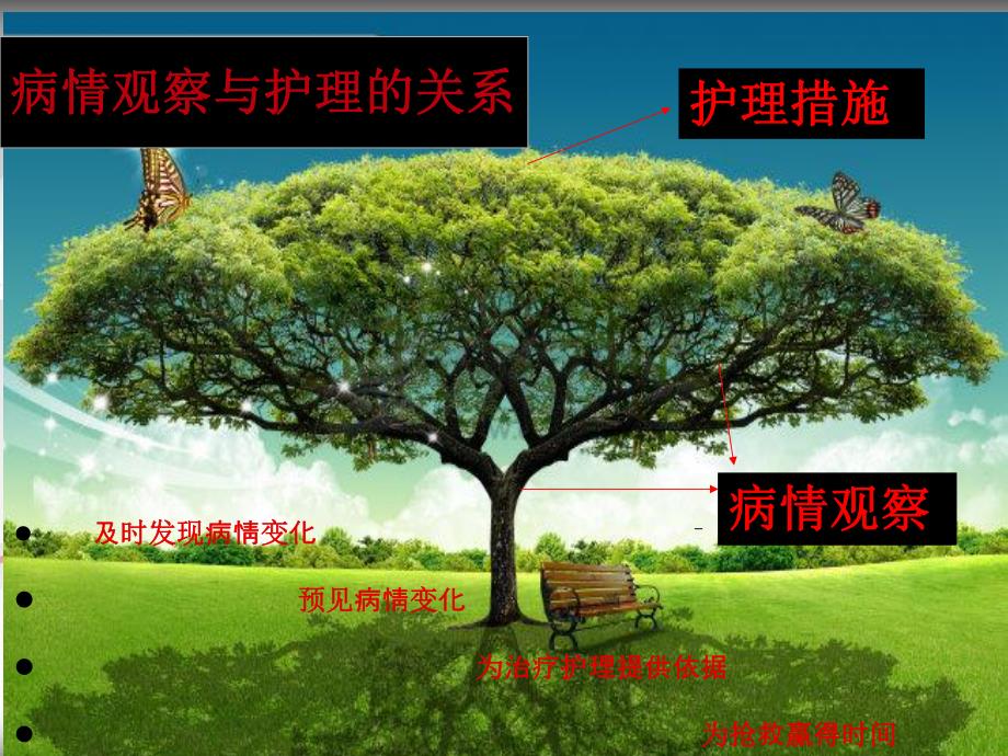 病情观察护理专题讲座.ppt_第3页