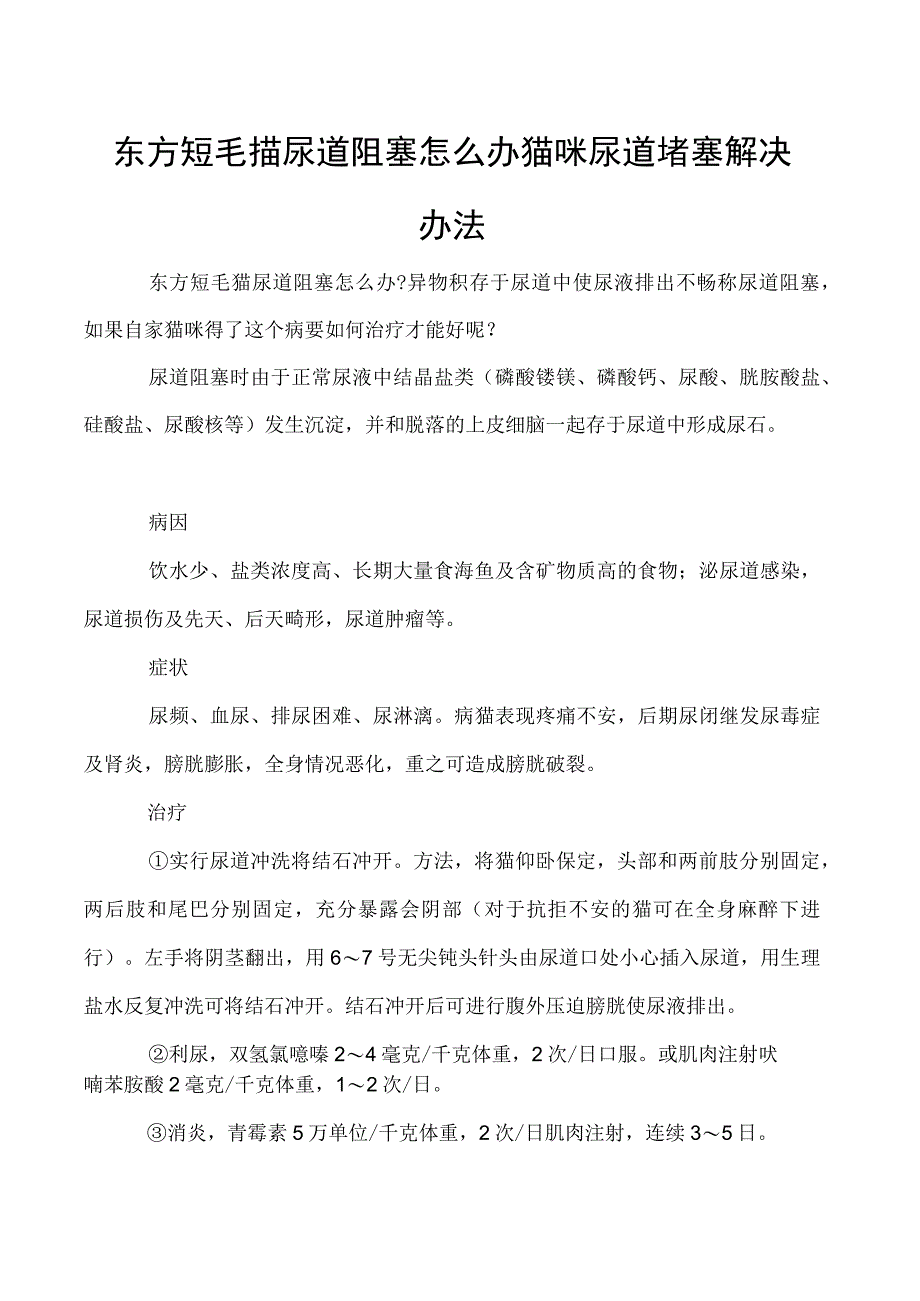 东方短毛猫尿道阻塞怎么办 猫咪尿道堵塞解决办法.docx_第1页