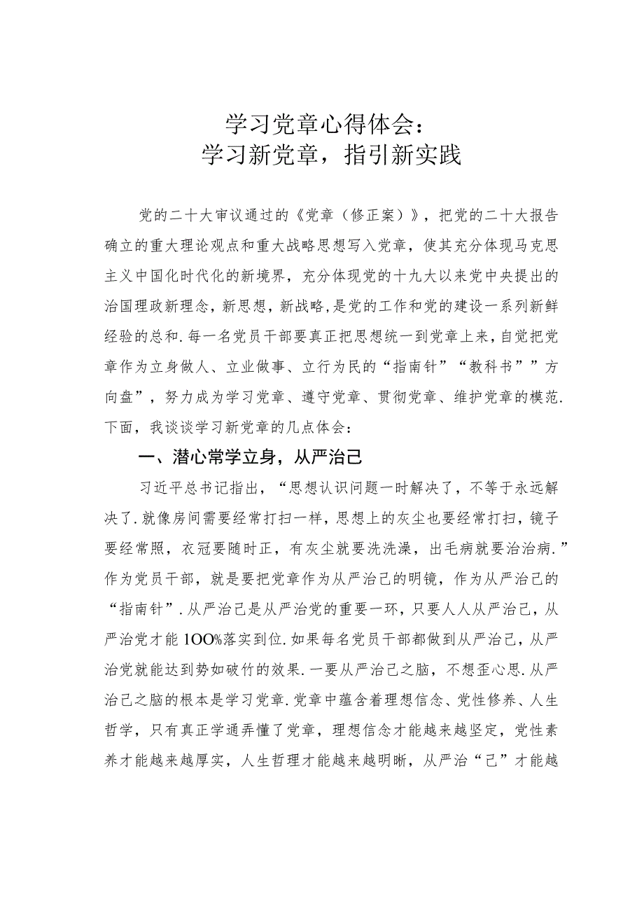 学习党章心得体会：学习新党章指引新实践.docx_第1页