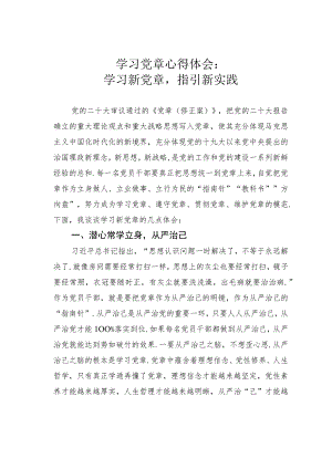 学习党章心得体会：学习新党章指引新实践.docx