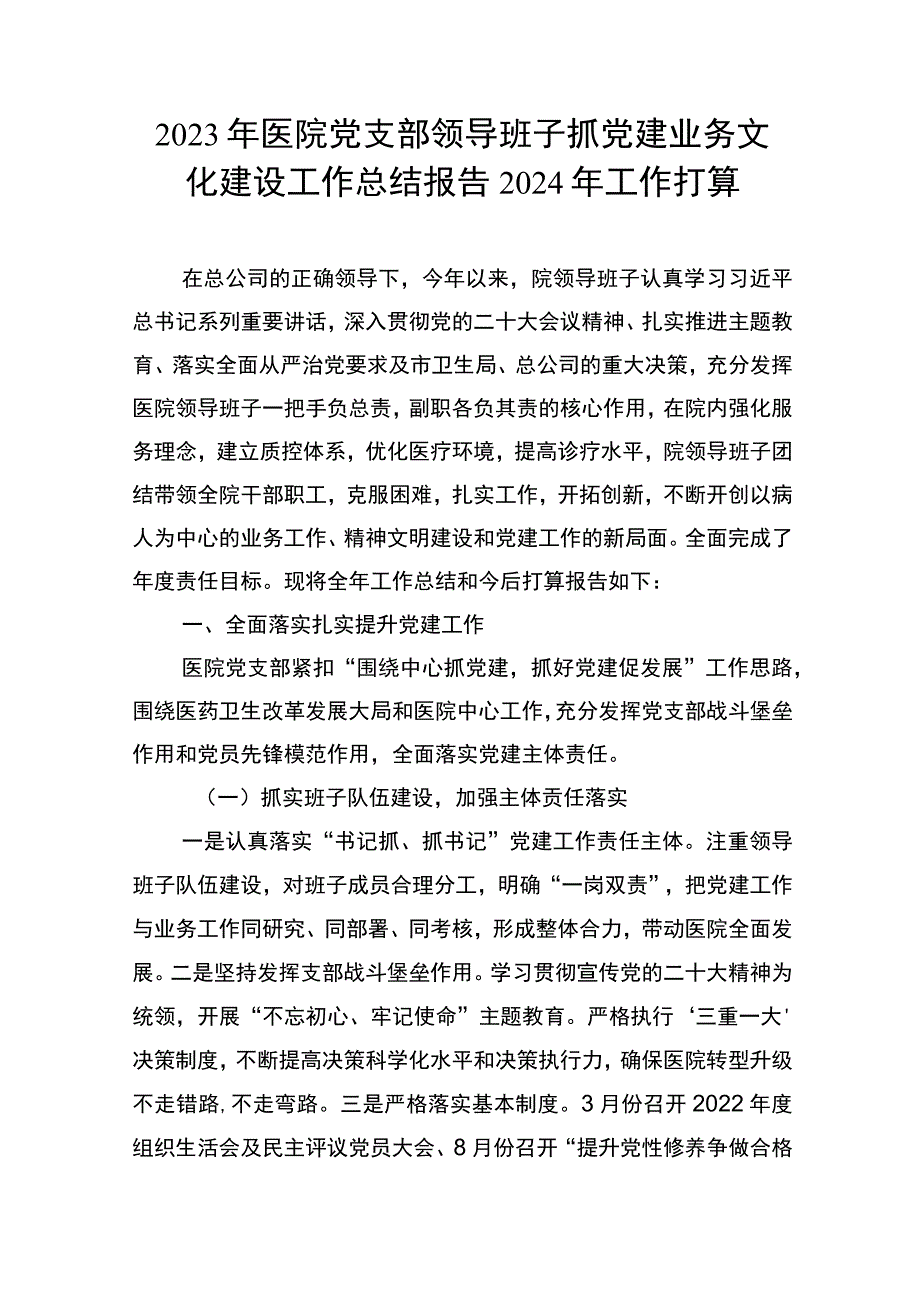 2023年医院党支部领导班子抓党建业务文化建设工作总结报告2024年工作打算.docx_第1页