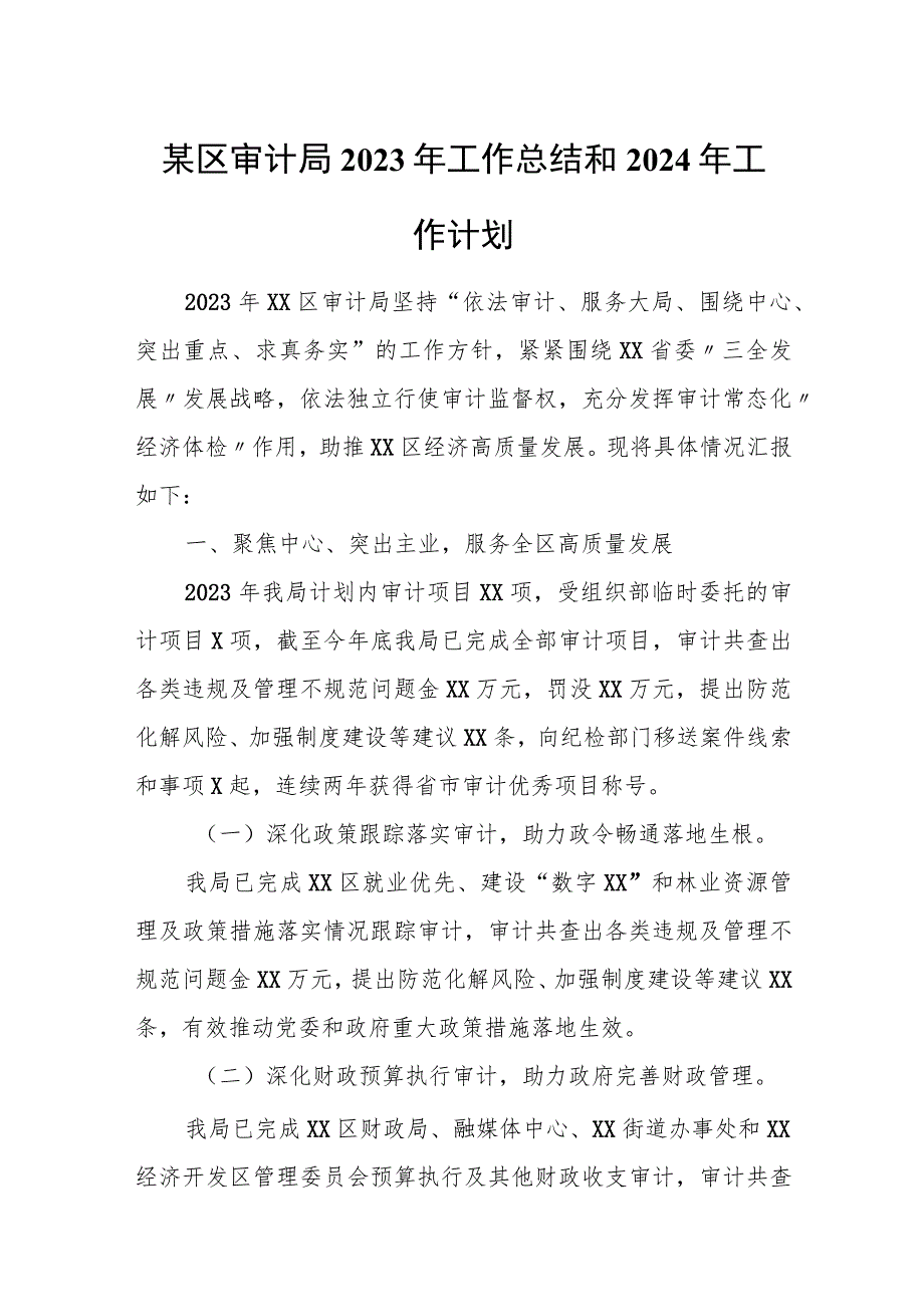 某区审计局2023年工作总结和2024年工作计划.docx_第1页