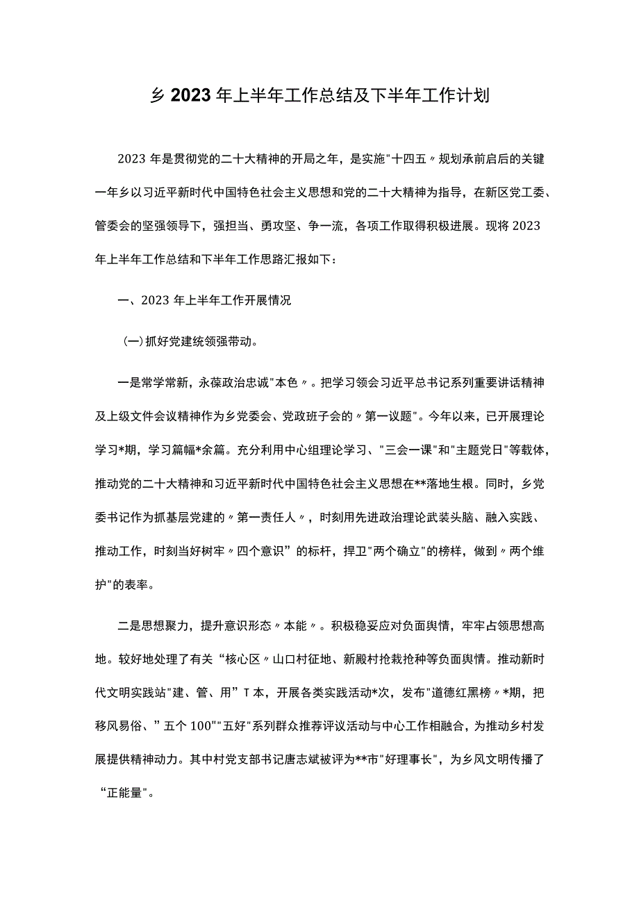 乡2023年上半年工作总结及下半年工作计划.docx_第1页