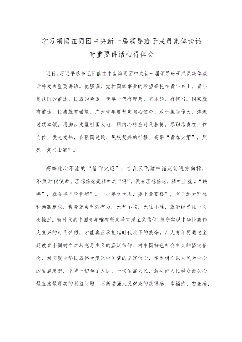 学习领悟在同团中央新一届领导班子成员集体谈话时重要讲话心得体会.docx_第1页