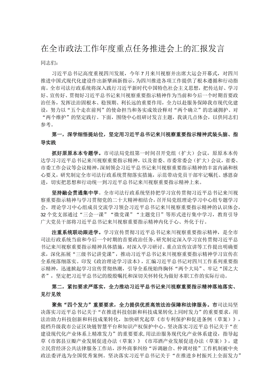 在全市政法工作年度重点任务推进会上的汇报发言.docx_第1页