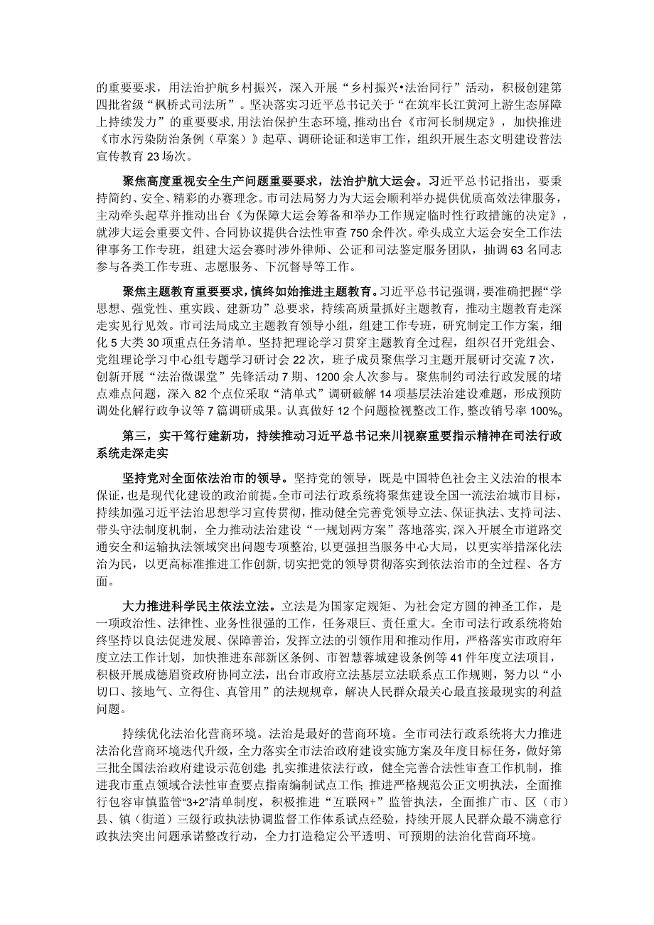 在全市政法工作年度重点任务推进会上的汇报发言.docx_第2页