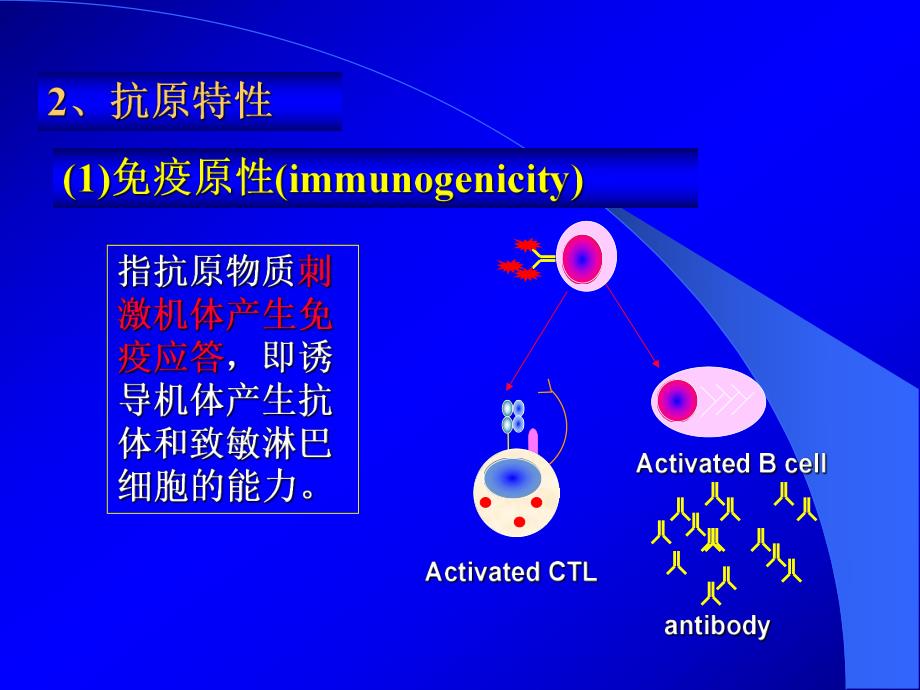 第2讲抗原第3章.ppt_第3页