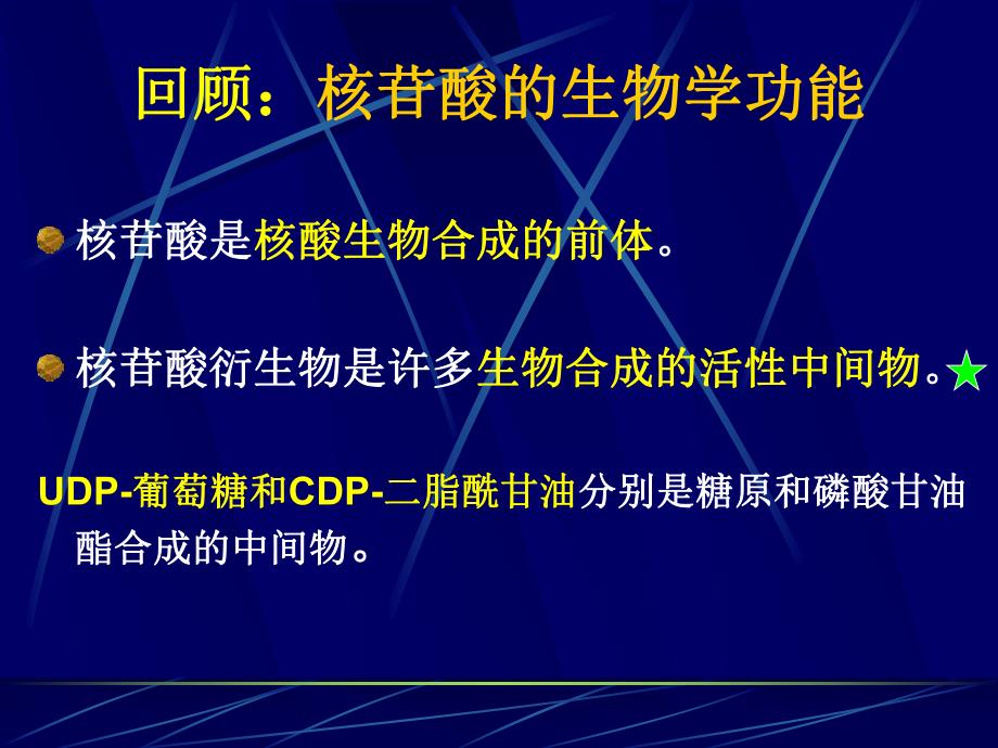 第33章 核酸的降解和核苷酸代谢.ppt_第2页