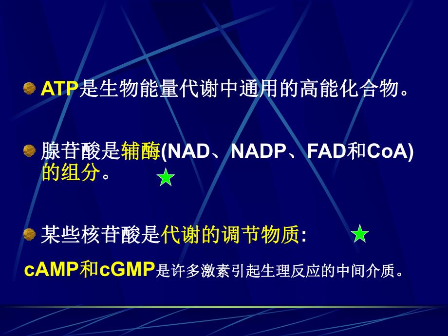 第33章 核酸的降解和核苷酸代谢.ppt_第3页