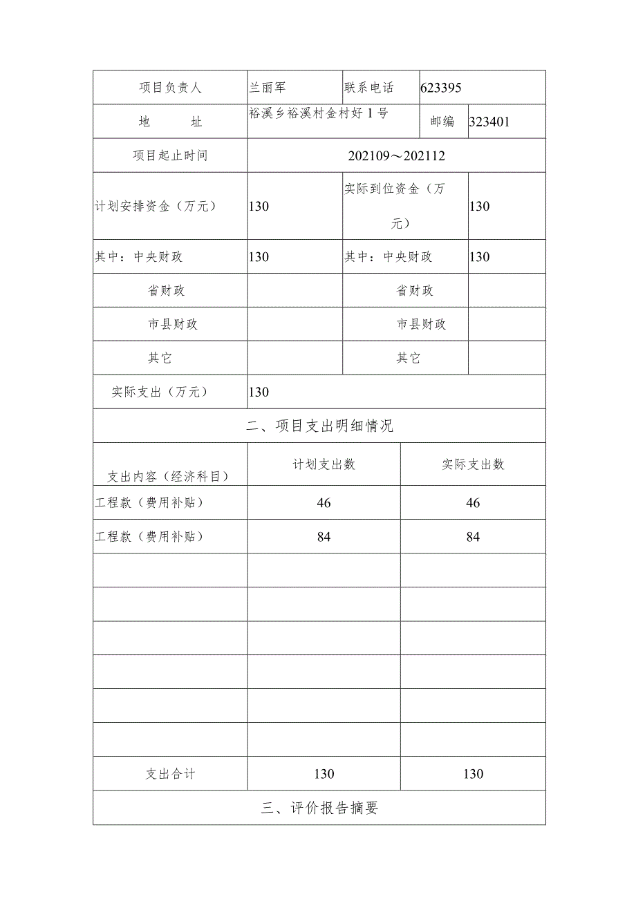 重点项目支出绩效评价报告.docx_第2页