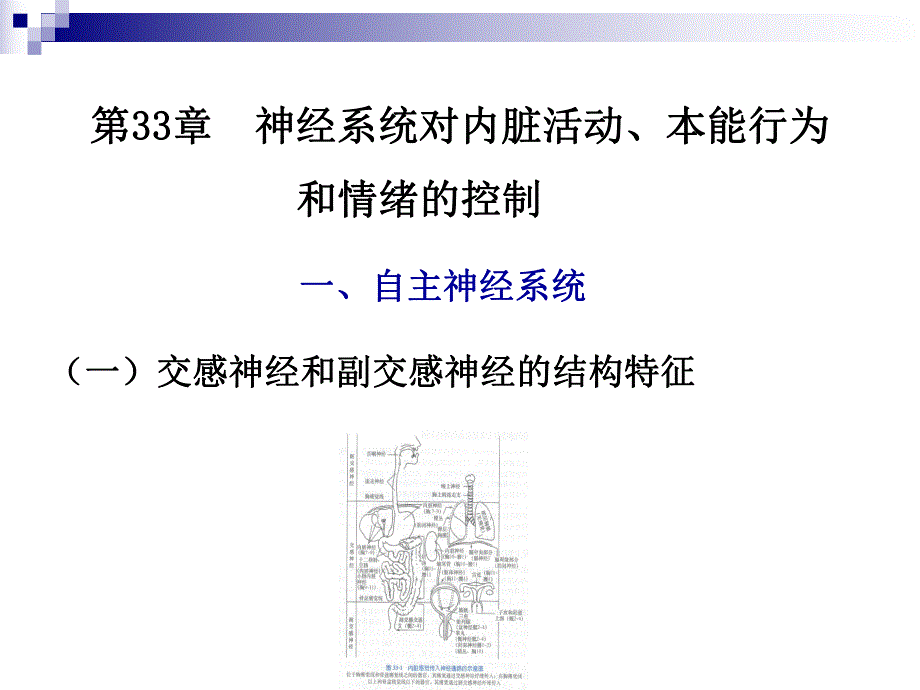 第33章神经系统对内脏活动,本能行为.ppt_第1页