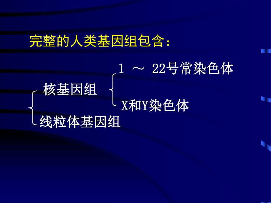 第3章人类基因组学.ppt_第3页