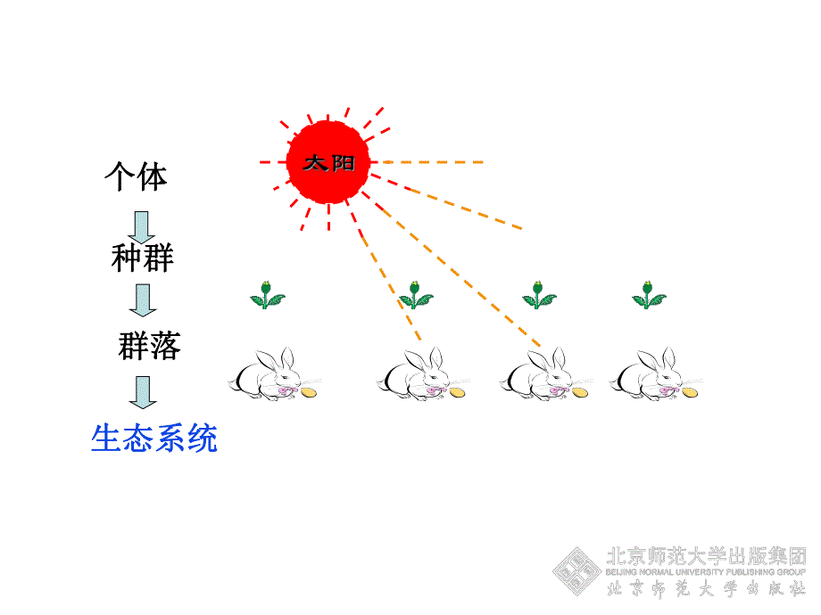 第2节生态系统概述.ppt_第3页