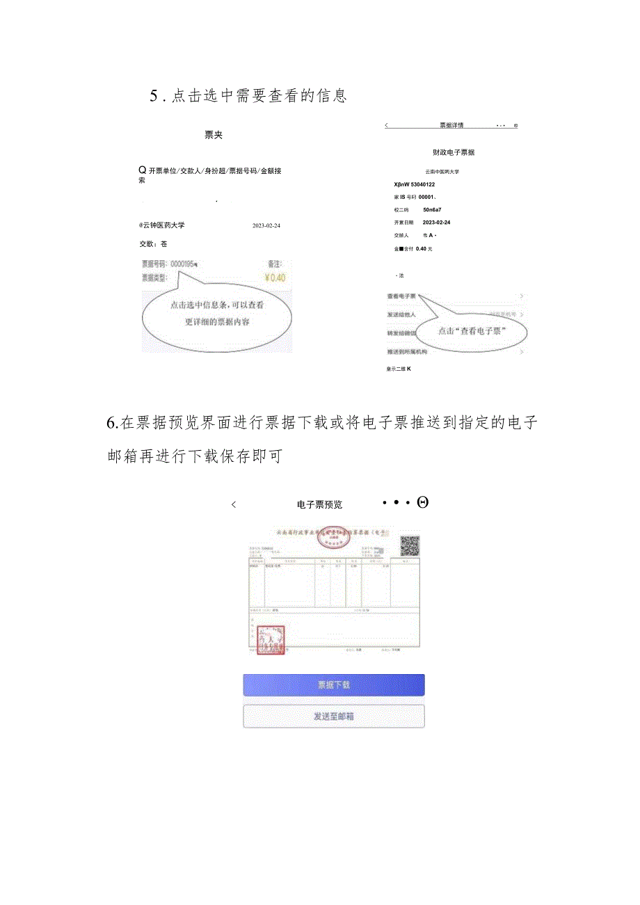 财政电子票据获取操作流程.docx_第3页