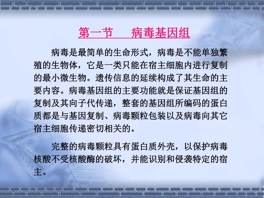 第3章基因组.ppt_第3页