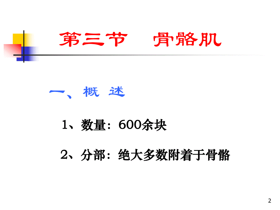 第2章运动系统3骨骼肌.ppt_第2页