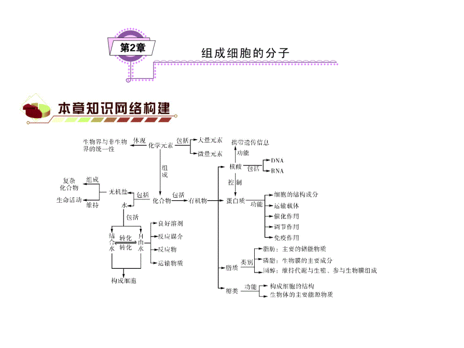 第2章组成细胞分子.ppt_第1页