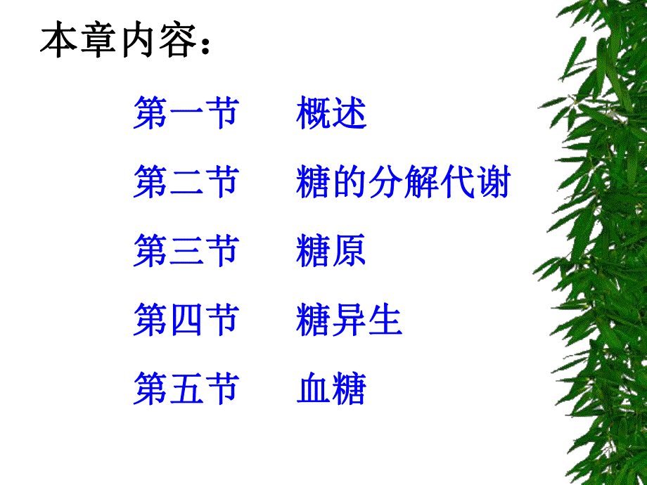 第2章糖代谢.ppt_第2页