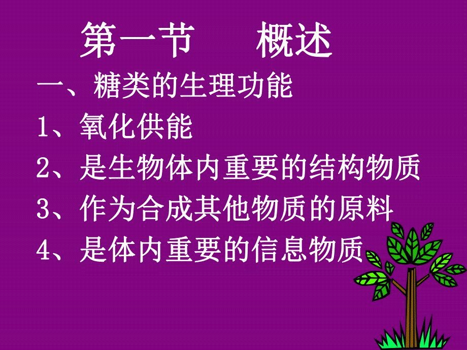 第2章糖代谢.ppt_第3页