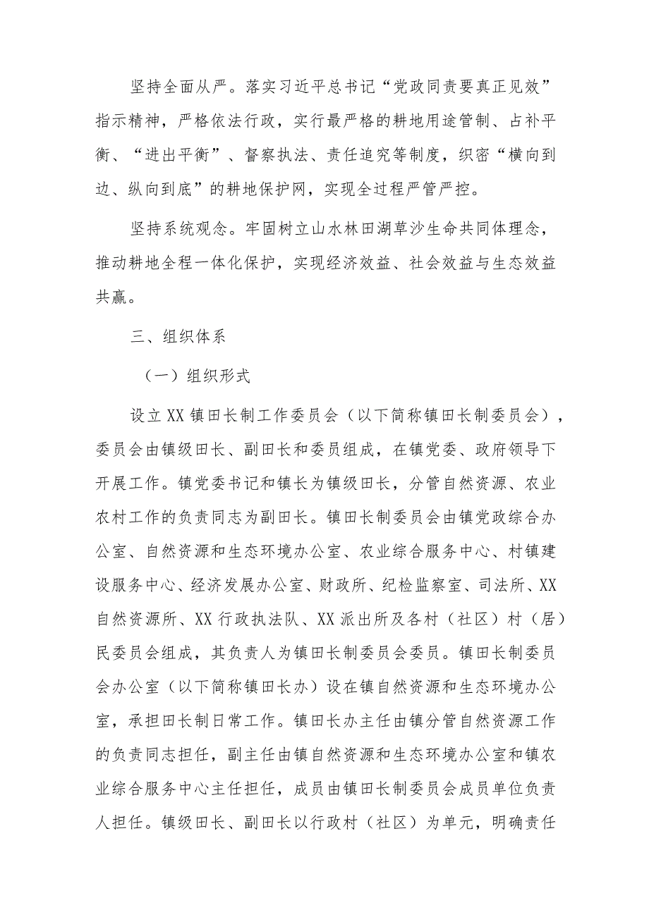 xx镇全面推行耕地保护田长制实施方案.docx_第2页