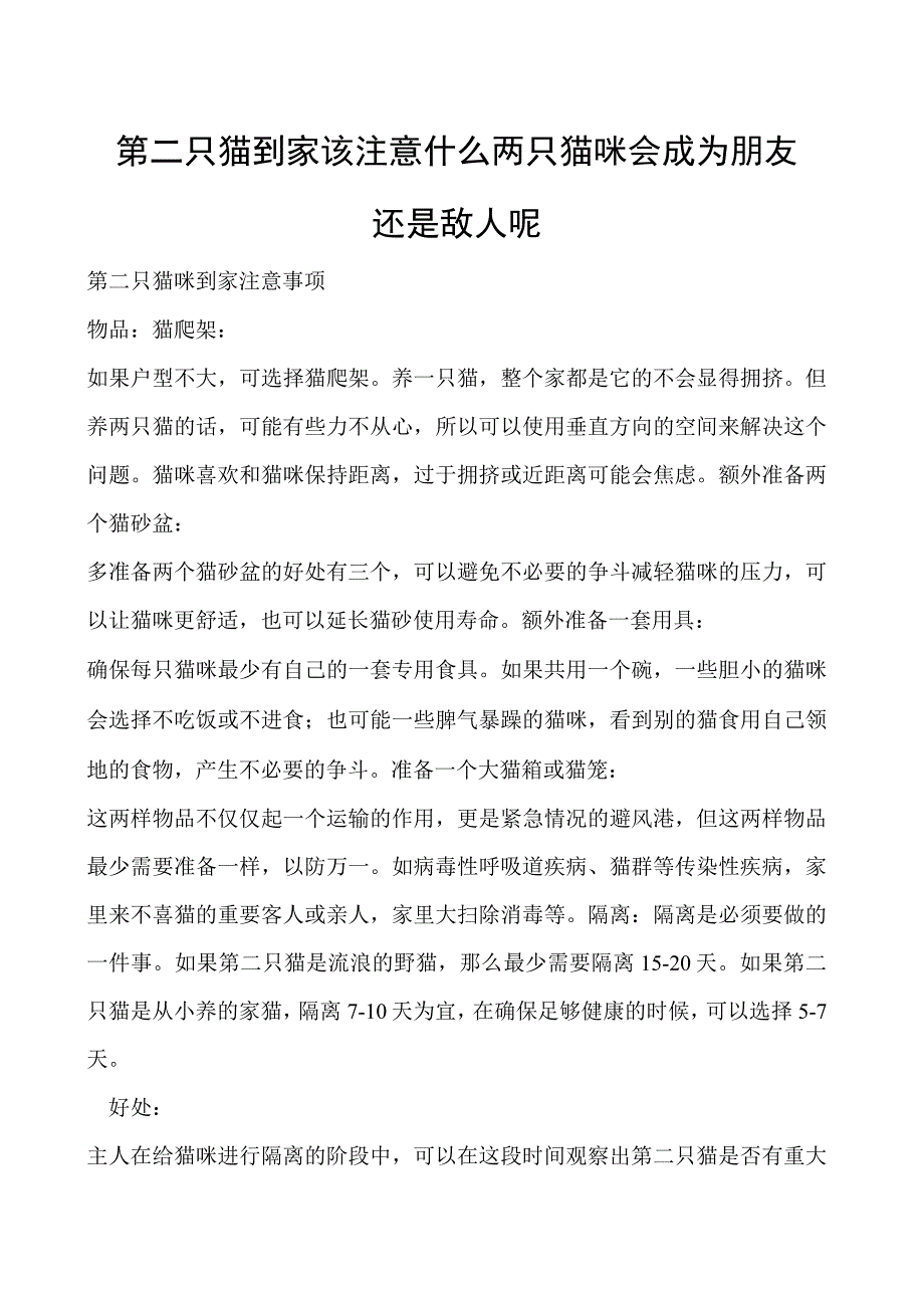 第二只猫到家该注意什么 两只猫咪会成为朋友还是敌人呢.docx_第1页