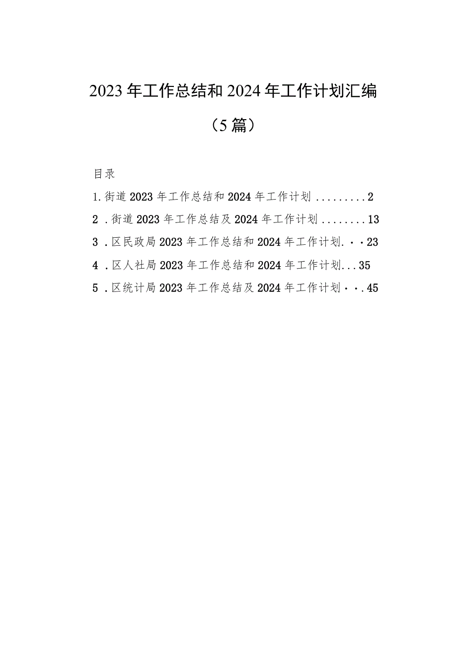 2023年工作总结和2024年工作计划汇编（5篇）.docx_第1页