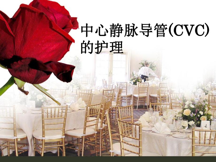 中心静脉导管(CVC)的护理.ppt_第1页