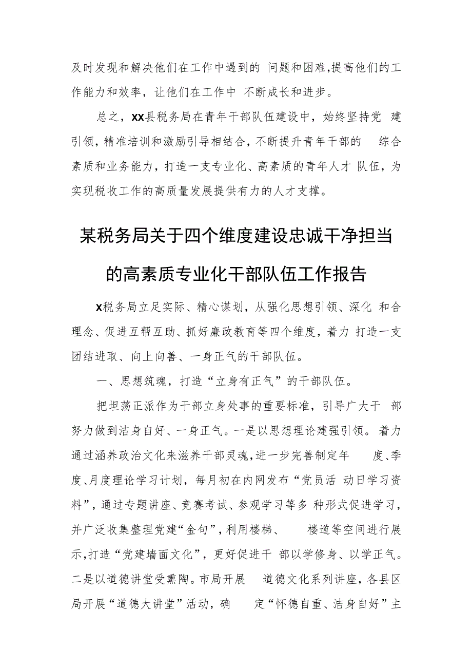 某税务局建立多元化培育模式打造高素质专业化青年人才队伍工作报告.docx_第3页