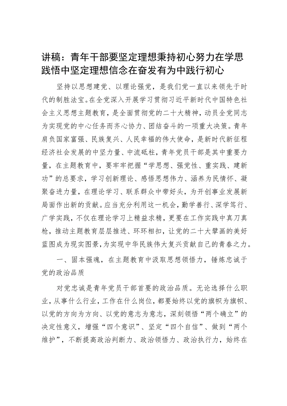 讲稿：青年干部要坚定理想秉持初心 努力在学思践悟中坚定理想信念 在奋发有为中践行初心.docx_第1页