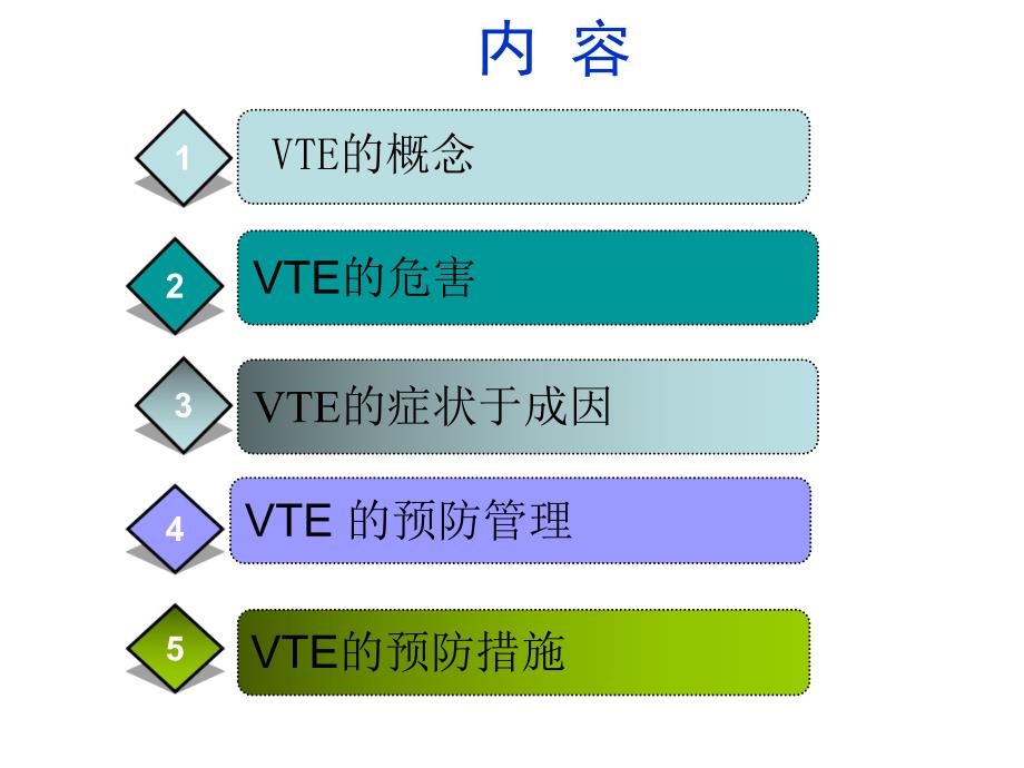 VTE预防护理管理.ppt_第2页