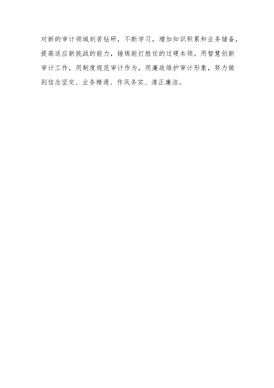 （8篇）2023学习《在二十届中央审计委员会第一次会议上的讲话》心得体会研讨发言.docx_第3页