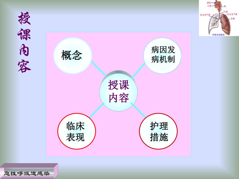 第一节护理急性呼吸道感染病人精要.ppt_第2页