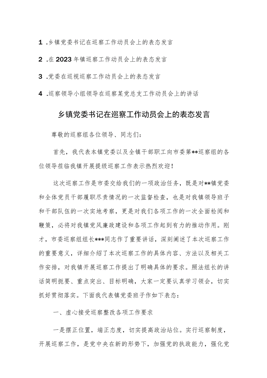 4篇：在2023年巡察工作动员会上的表态发言范文稿.docx_第1页