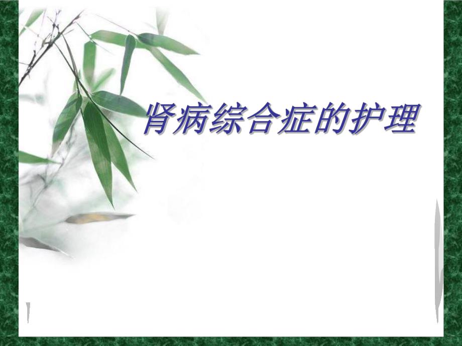 肾病综合症的护理.ppt_第1页