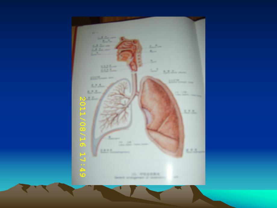 胸腔闭式引流的护理.ppt_第3页