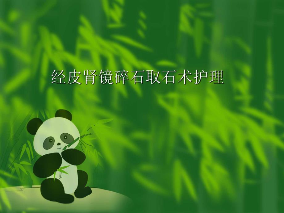 经皮肾镜碎石术护理.ppt_第1页