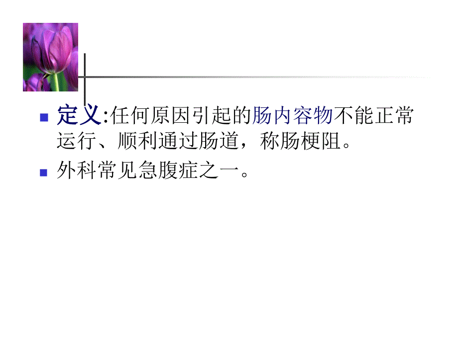 肠梗阻患者的护理.ppt_第3页