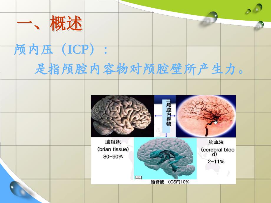 颅内压增高的护理.ppt_第2页