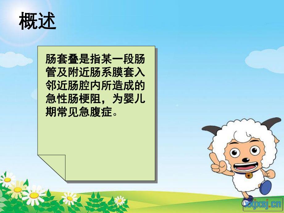 肠套叠患儿的护理.ppt_第2页