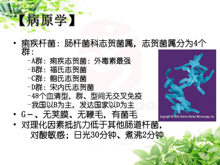 菌痢护理查房ppt.ppt_第3页