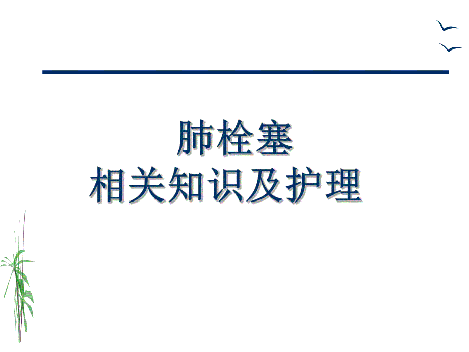 肺栓塞的治疗与护理.ppt_第1页