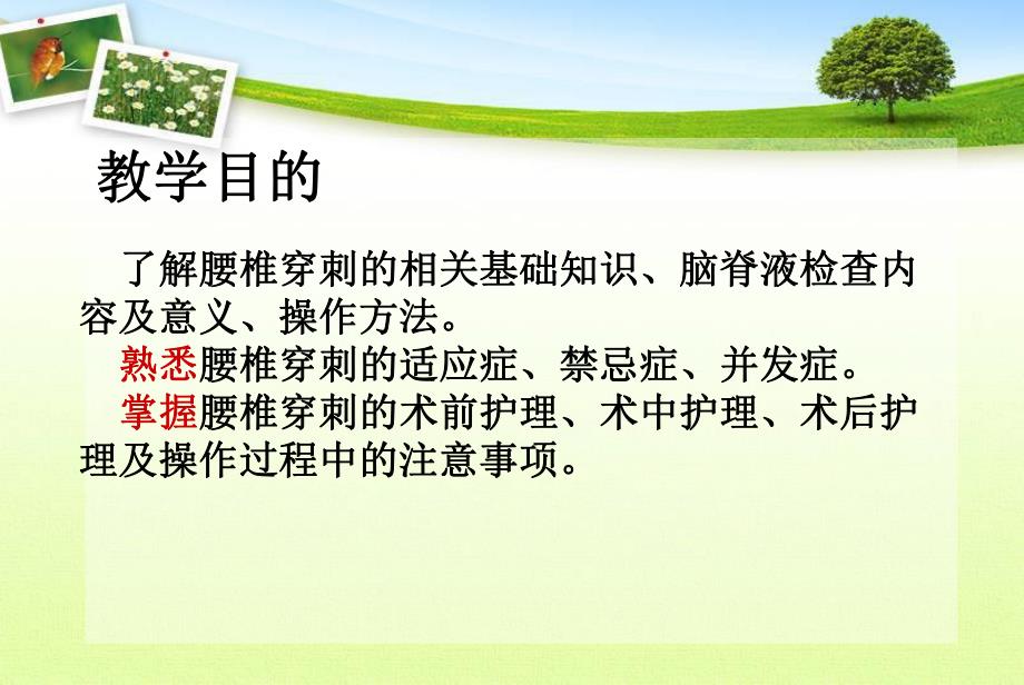 腰椎穿刺术的护理..ppt_第3页