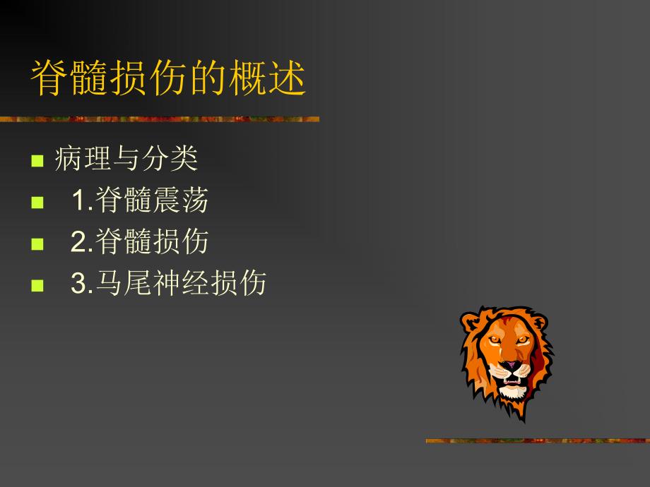 脊髓损伤的护理.ppt_第2页