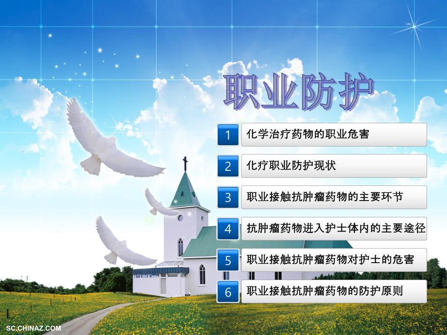 肿瘤科护士的职业防护.ppt_第2页