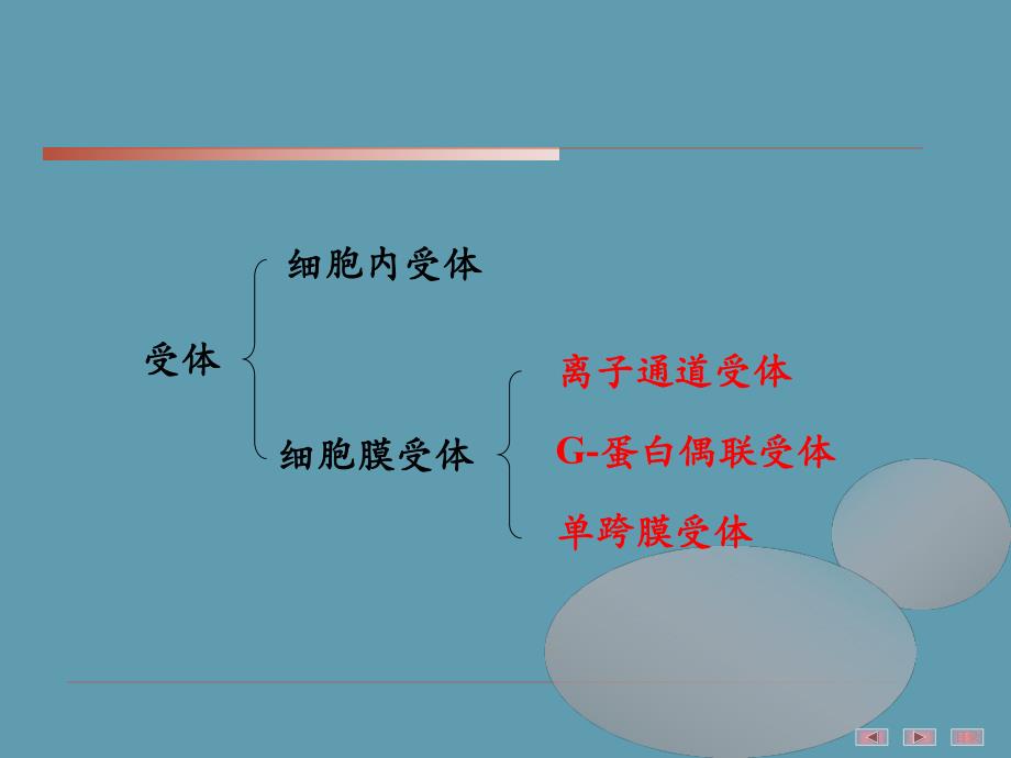 细胞受体介导的细胞内信号转导.ppt_第3页